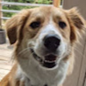 Meet your Posher, Aminta